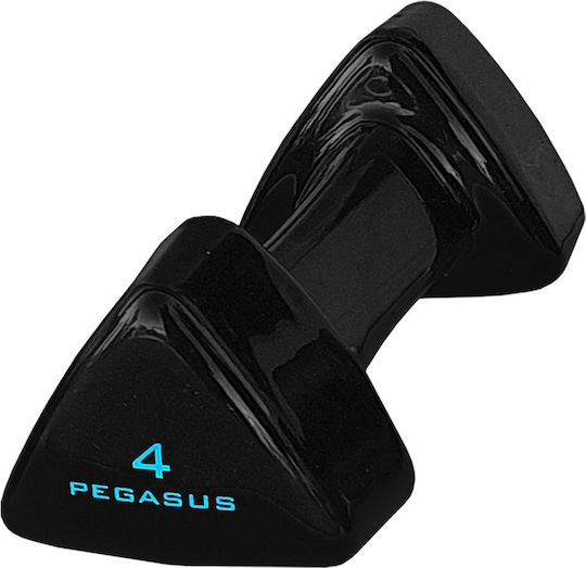 Pegasus 393600504 Βαράκι Βινυλίου 1 x 4kg