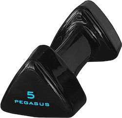 Pegasus Βαράκι Βινυλίου 1 x 5kg