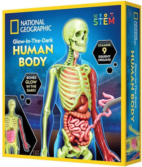 National Geographic Human Body Образователна Игра Образователни
