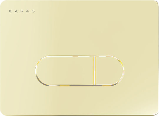 Karag Siena Flush Plate Dual Flush