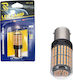 Rchang Λάμπα Αυτοκινήτου LED 6500K Ψυχρό Λευκό 12V