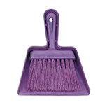 Practic Mini Broom