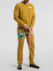 La Sportiva Men's Climbing Long Trousers Yellow