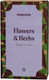 Teasome Flowers & Herbs Loose Tea 75g