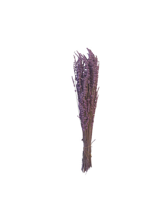 Dried Lavender Plant Purple 100g