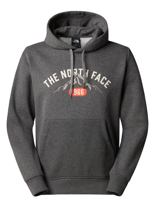 The North Face Graphic Herren Sweatshirt mit Kapuze grey