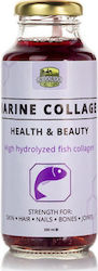 Fish Collagen Drink 250ml