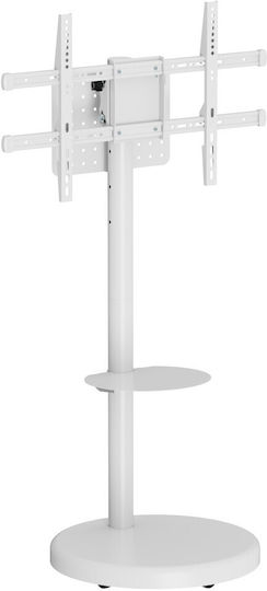Techly Fernsehhalterung Boden bis 86" und 50kg