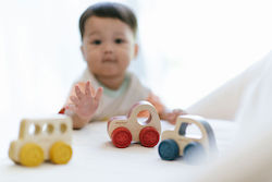 Plan Toys Pull Toy