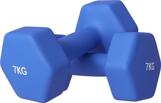 Sportnow Βαράκι Εξάγωνο 1 x 7kg