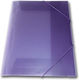 Plastic Elastic Folder Skag Transparent Purple