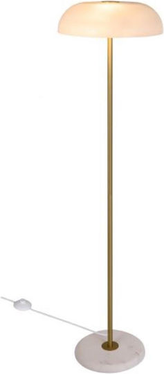 Nordlux Floor Lamp H143cm. with Socket for Bulb E14