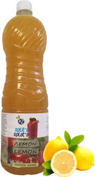 PZ Γρανίτα σε Πολτό 1500gr