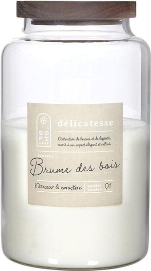 Scented Candle Home Deco Factory Burn Time 70 Hours Scent Wood Mist Dimensions 14x23.5cm 3664944613725