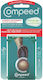 Compeed Blister Patches 5pcs