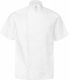 Naivest Coat Chef White with Short Sleeve Kara