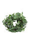 Eucalyptus Wreath D40 H10cm