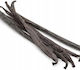 Bourbon Vanilla Sticks 5pcs Fresh Long 15cm+