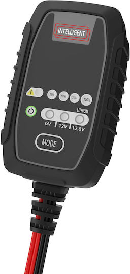 Amarad Car and Motorcycle Battery Charger 6/12V 2.5A