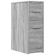 vidaXL Ντουλάπι Μπάνιου 22x44x61.5cm Sonoma