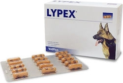 Pet Health Vetplus Lypex 1x60caps Pet Health Vetplus Lypex 1x60caps