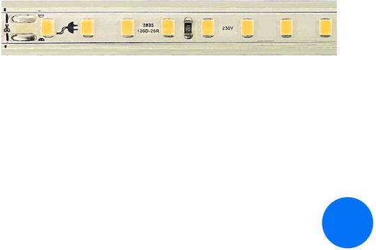 Aca Αδιάβροχη Ταινία LED 220V Μπλε Φως 20m