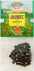 Ολόκληρη Άρκευθος Premium 20 G