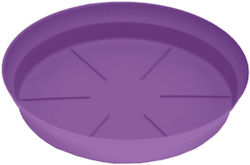 Micplast 737419 Teller Topf Purple 34x34cm