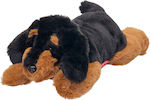 Maskottchen Hund Dackel 35 cm