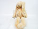 *plush Missimo Bunny Caramel 50cm