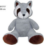 Maskottchen Waschbär 30cm 166562 Sonntag