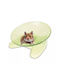 Δίσκος Εξάσκησης Τρωκτικά Flamingo Sat Running Disc Suzie Πράσινο 20,8x20,8x11cm