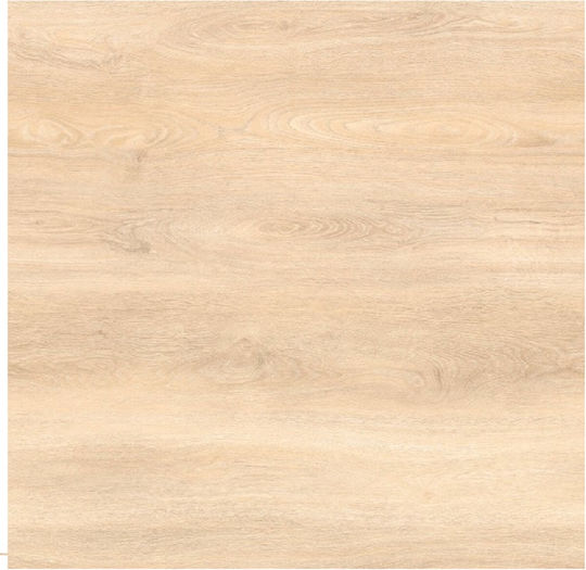 Kronotex Exquisit Plus GKAVAL-D80242-8MM