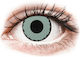 Gelflex 2 Daily Lentile de Contact