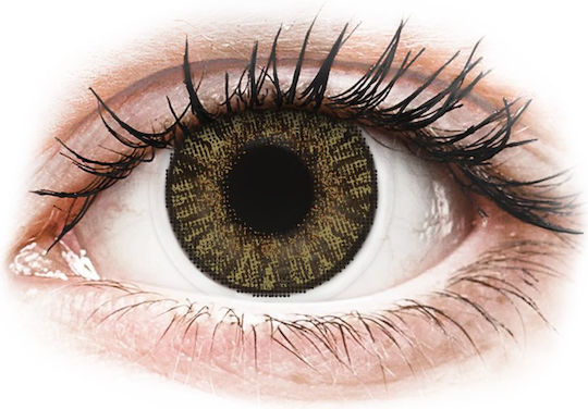 Alcon ColorBlends 2 Monatlich Farbig Ohne Dioptrien Kontaktlinsen Rein Haselnussbraun