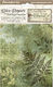 Σετ 8 Ριζόχαρτα Ντεκουπάζ Stamperia 10.5×14.8cm Backgrounds Forest