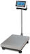 T-Scale Platform Scale with Weighing Capacity of 300kg and Division 50gr