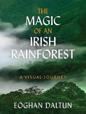 The Magic Of An Irish Rainforest A Visual Journey Eoghan Daltun Ireland 0114