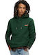 D1 Ovin Sweatshirt with Hood Enamel Green