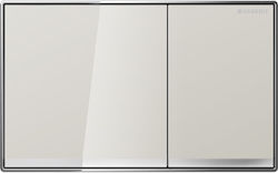 Geberit Spülplatten für Toiletten Doppelspülung