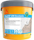 Sika Epoxy Sealing 1kg Weiß