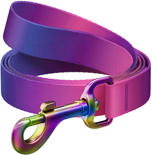 WauDog Dog Leash/Lead Strap in Purple color