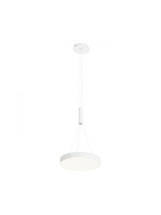 Rendl Light Studio Pendant Light 30cm