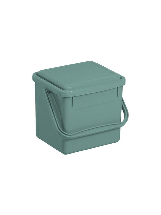 4.5l Bio Mistletoe Green Bucket