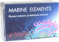 Daphne Seife Marine Elemente 120g Daphne Seife Marine Elemente 120g