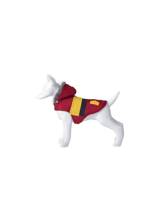 FreeDog 02018