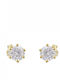 Kloxx Earrings made of Silver Gold Plated with Stones