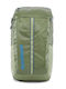 Patagonia Black Hole 25L Green Backpack