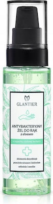 Glantier Antibacterial Hand Gel 100ml