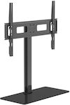 Base LCD40S Wall TV Mount